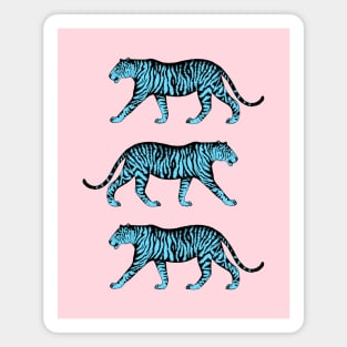 Three Tigers (Pink and Blue) Magnet